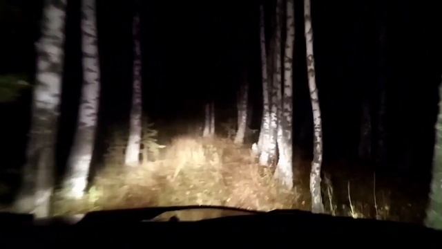 охота на утку осенью, утиный лет) смотреть онлайн