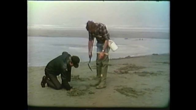 Digging Razor Clams on the North Beach 1983 documentary смотреть онлайн