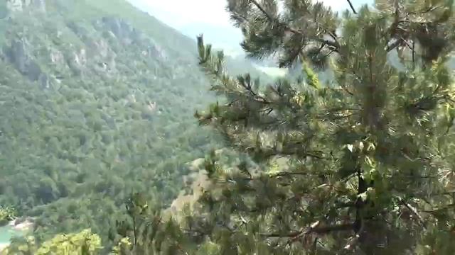 Река Пива -освежает в жару! Каньоны .Черногории .