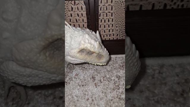 скажи тебе нравится.. смотреть онлайн