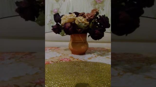 Скольким ты запала в душу - стихи Н Мелеховой исп.Ромашка на баяне(4) смотреть онлайн