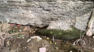 СМЫТЬ БОЛЕЗНИ И БЕДЫ С СЕБЯ. Шепоток От Болезни и Беды