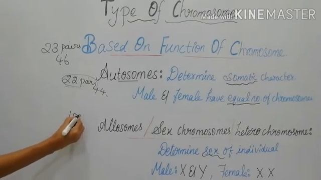 Genetics | Types of Chromosomes | Karyotype | Idiogram | 10th Biology | смотреть онлайн