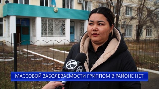 МАССОВОЙ ЗАБОЛЕВАЕМОСТИ ГРИППОМ В РАЙОНЕ НЕТ смотреть онлайн