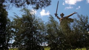 Растёт в Волгограде берёзка