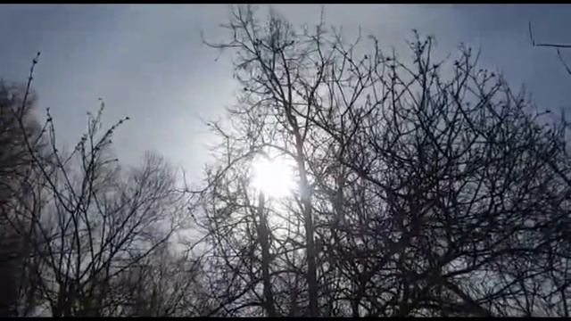 Магическое солнце, берегите природу... смотреть онлайн