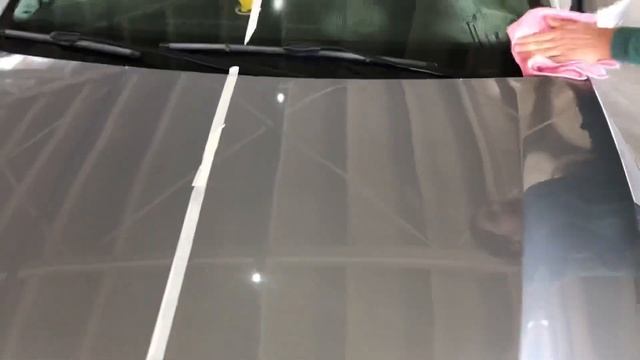 KOCH CHEMİE PROTECTOR WAX-PW Quick Polish    (35DETAİLİNG35)