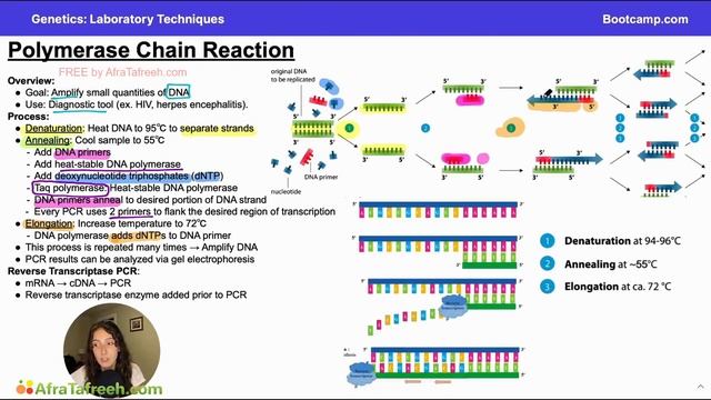 Laboratory Techniques-4. Polymerase Chain Reaction atf смотреть онлайн