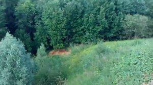 Соня на дороге или камни в водопаде.