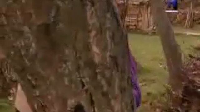 Мехвари хакикат кисми 8