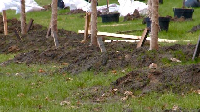 В РЕУТОВЕ ПРОШЛА ЭКОЛОГИЧЕСКАЯ АКЦИЯ «АЛЛЕЯ ЗНАНИЙ» 19.10.21 смотреть онлайн