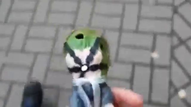 обзор на черепах ниндз смотреть онлайн
