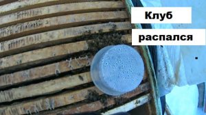 Освещённость ульев на пасеке