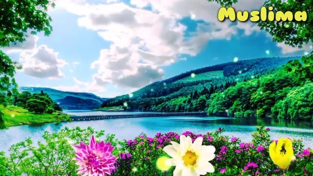 Қучли дуо. дуолар ва суралар смотреть онлайн