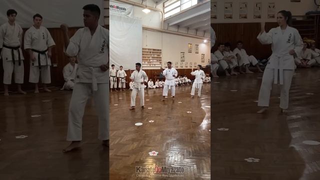 Más De 400 Test Kyu #karate #karatelife #martialart #sensei #martialarts #art