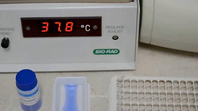 МИФЫ СОВРЕМЕННОГО ЧЕЛОВЕКА. Правда или вымысел? смотреть онлайн