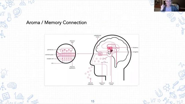 Amplified Learning Outcomes with Essential Oils смотреть онлайн