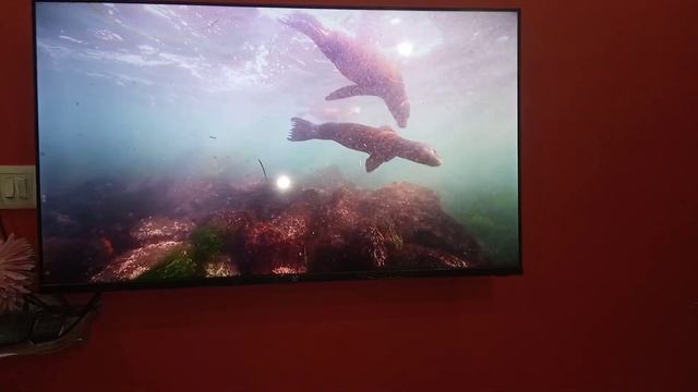 one plus Android tv 43 led смотреть онлайн