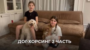 ДОГ-ХОРСИНГ ЧАСТЬ 2