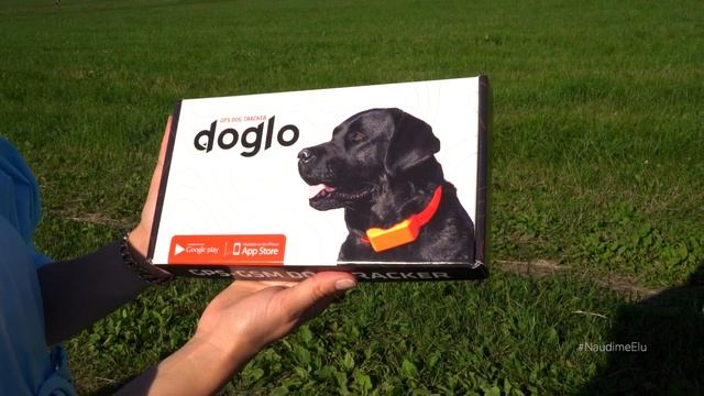 Doglo koera GPS-GSM смотреть онлайн