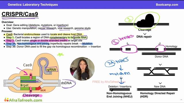 Laboratory Techniques-1.Cas9 atf смотреть онлайн