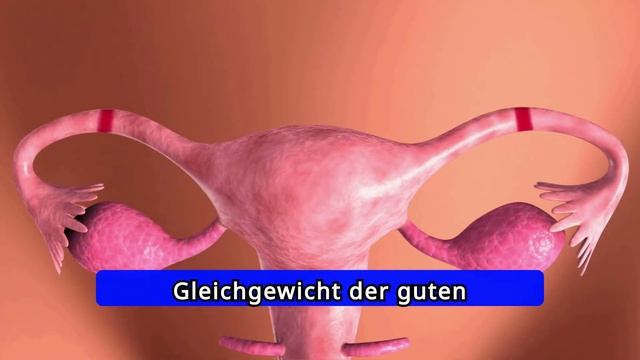6 Dinge, die Ärzte NICHT über die Symptome der MENOPAUSE sagen смотреть онлайн