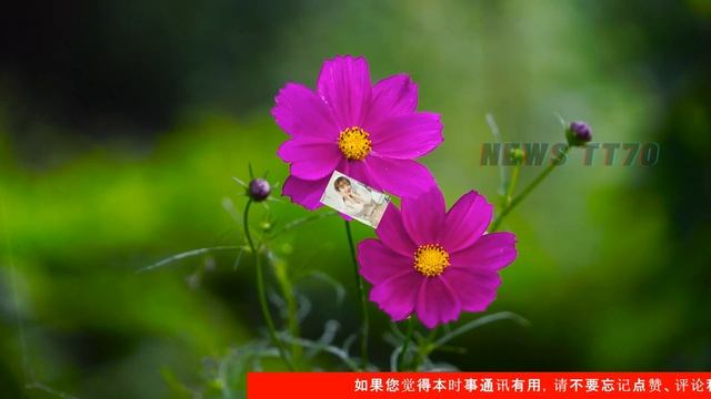 ENG SUB - 顾魏终于抱得美人归，为爱暴走，《#余生请多指教》顾魏母亲择媳观太精辟？ 【NEWS TT7005月17日】