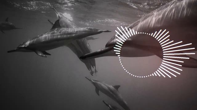 Golden_Cage//🎇🎇(Усракаительная музыка)🧩🧩#music #spotify #song #music #relax #relaxing #sleepmusic