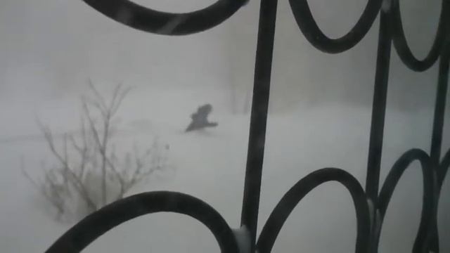 2.12.2014 Вот это вот зима смотреть онлайн