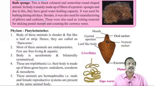 10th Science2 topic6 part3 Animal classification смотреть онлайн