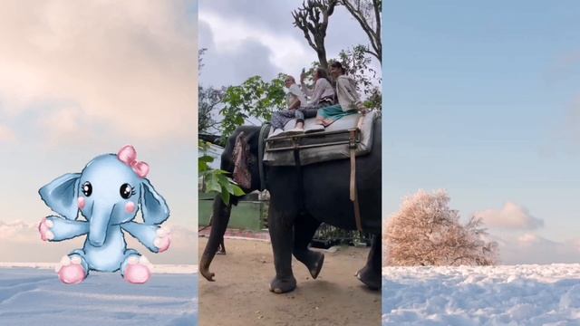 Индия в моем сердце!!! Краткий обзор моего путешествия. Керала, Путтапарти. #India2024 смотреть онлайн