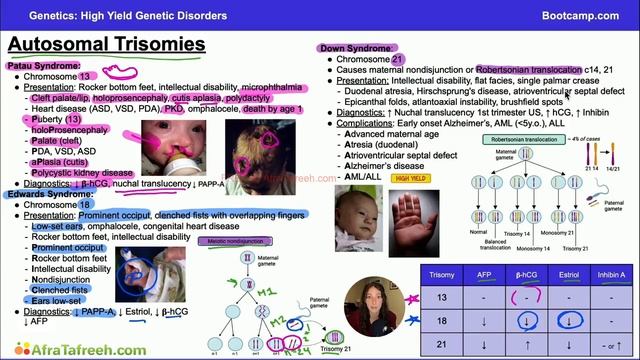 High Yield Genetic Disorders-1. Autosomal Trisomies atf смотреть онлайн