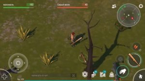 Ищем еду для собак в простой сосновой локации в [Last Day on earth]