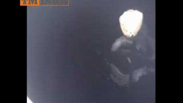 UNI Vinificator - TMINOX смотреть онлайн