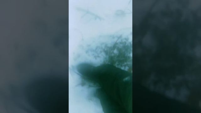 Коп зимой. смотреть онлайн