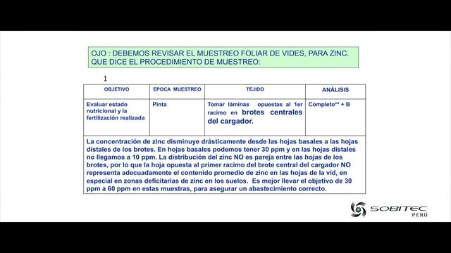 La importancia del Zinc (Zn) en la producción de uva de mesa de calidad смотреть онлайн