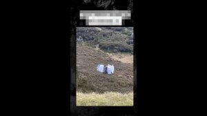 Жутковатые видео