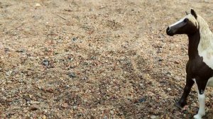 Типы лошадей шляйх