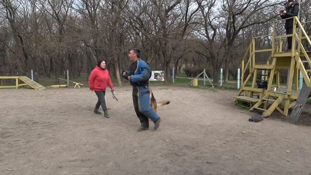 Не надо ОБИЖАТЬ ЖЕНЩИН! Собаки - телохранители. Дрессировка собак СТРАЖ. Одесса 2023. смотреть онлайн