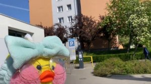 ВЛОГ УТОЧКИ ЛАЛАФАНФАН МИКИ! || ШОППИНГ, ЗАКУПКА, ГИГИЕНА УТИ ЛАЛАФАНФАН !