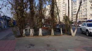 Корейская улица в Ташкенте