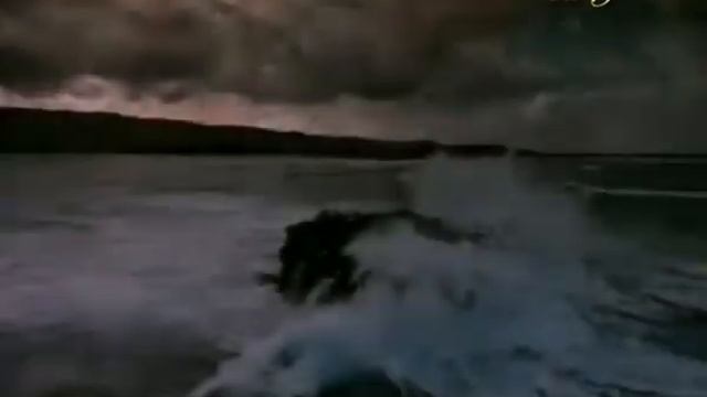 УДИВИТЕЛЬНОЕ ПУТЕШЕСТВИЕ ЛОСОСЕЙ (ДЛЯ ДЕТЕЙ)