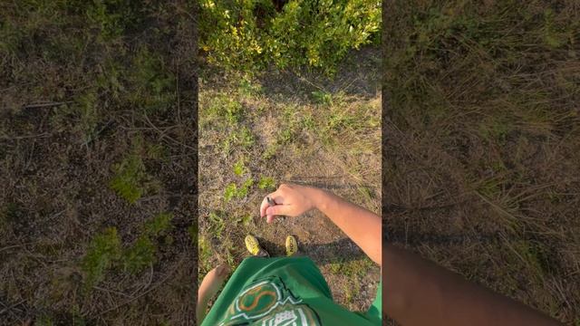 Искусство без границ