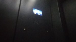 музыкальные лифты щлз экомакс 2018 от пик.