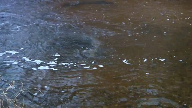 Sturgeon Are Coming Home: KEWAEHMAKAT PIATAEH (Menominee) смотреть онлайн
