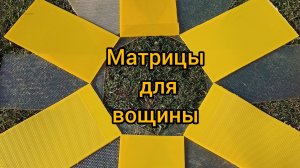 Матрица для изготовления вощины. Отзыв из Московской области.
