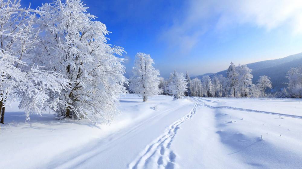Зимний день. Сергей Чекалин