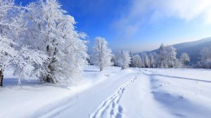 Зимний день. Сергей Чекалин