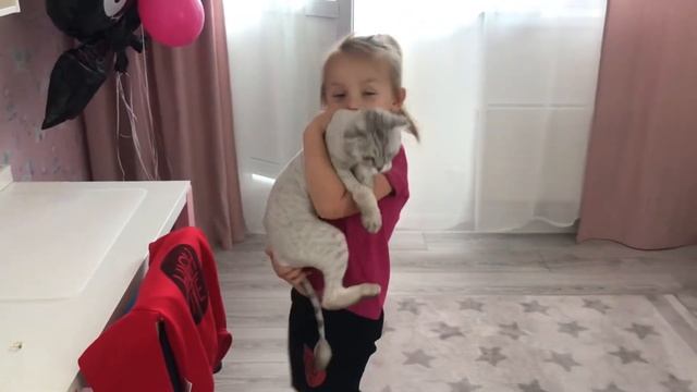 КОШКИ И ДЕТИ смотреть онлайн